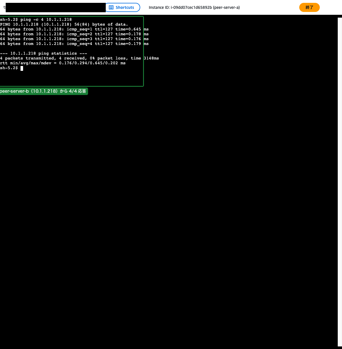 Session Manager のターミナルで peer-server-b への ping が成功している画面