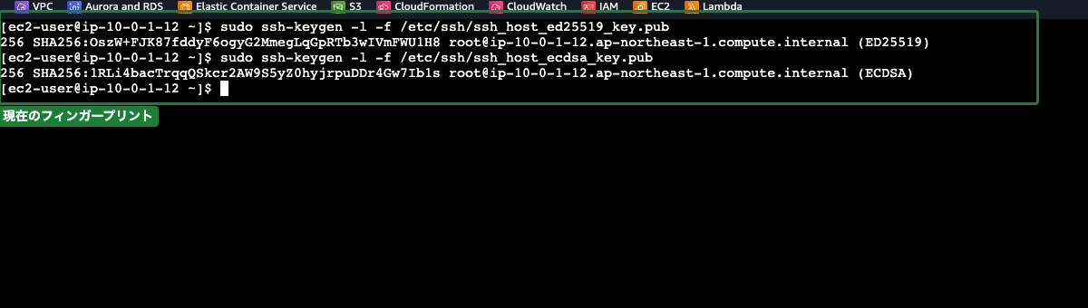 EC2 Instance Connectのブラウザターミナル ── ssh-keygen -l コマンドの実行結果（フィンガープリント）が表示されている状態
